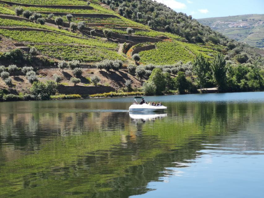 From Porto: Tastings at 2 Wineries, Chefs Lunch & Boat Tour - Family-Run Winery Visits