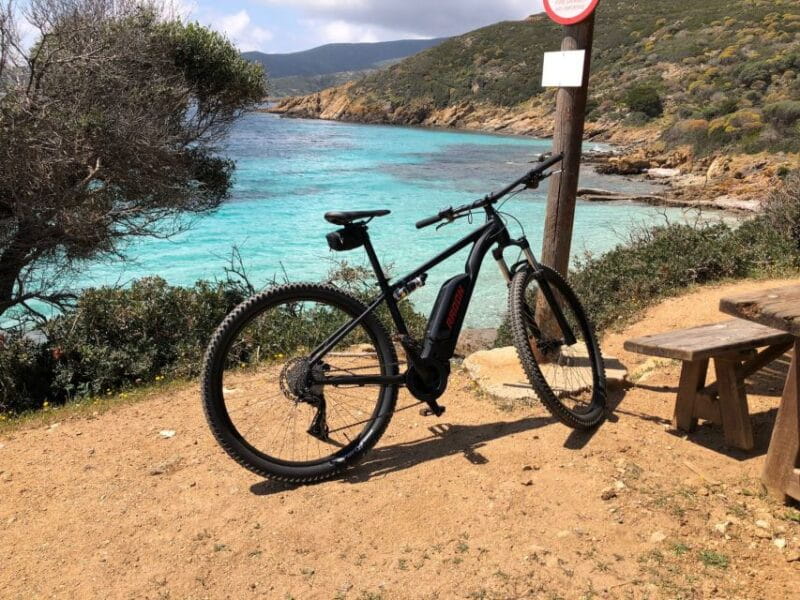 From Porto Torres: E-Bike Rental - Who Is This Tour Best For?