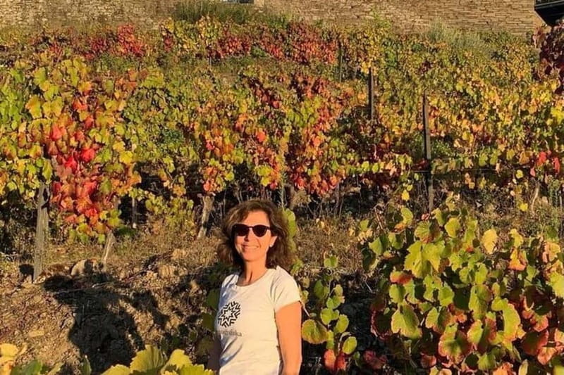 From Porto: Valle del Duero Full-Day Private Tour - Final Thoughts