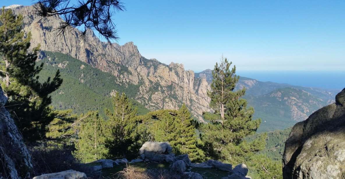 From Porto Vecchio: Corsica Mountain Tour - Hotel Pick-up and Drop-off