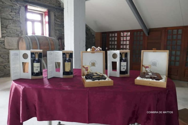 From Porto: Wine Tasting with Lunch at a Quinta, Cruise, and Train Ride - Final Thoughts: Who Should Book This Tour?