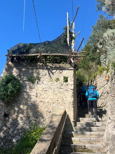 From Positano: Lemon Tour with Tasting Session and Transfer - Exploring the Amalfi Coast on Foot Along the Lemon Path