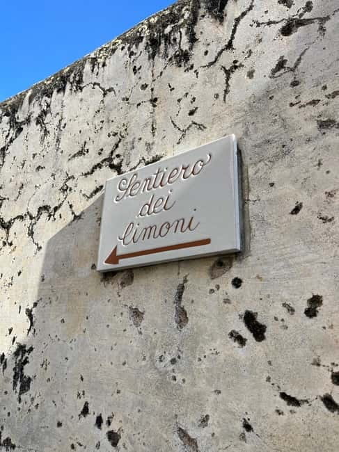 From Positano: Lemon Tour with Tasting Session and Transfer - Who Should Consider This Tour?