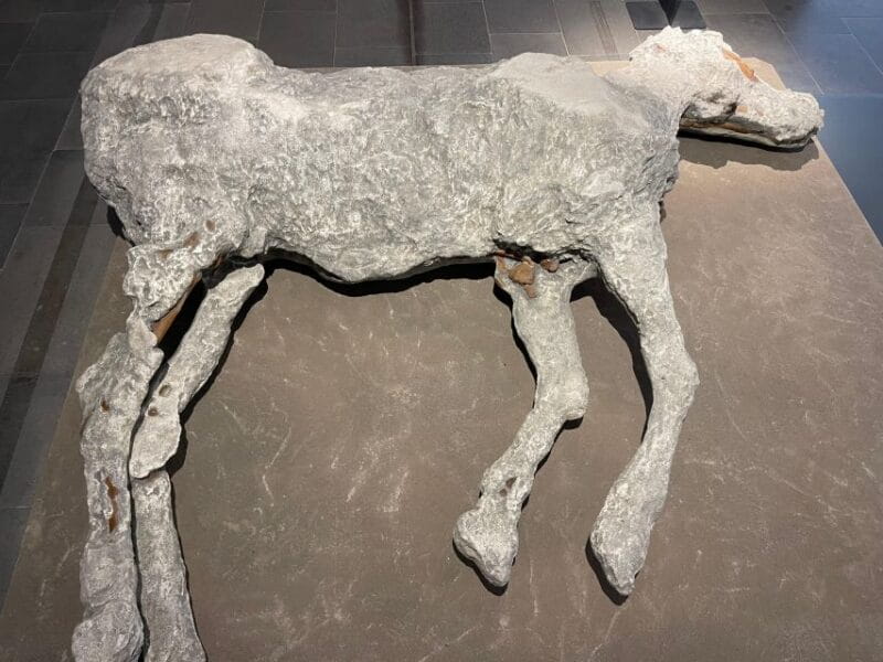 From Positano: Pompeii Tour small group all inclusive - Who This Tour Is Best For