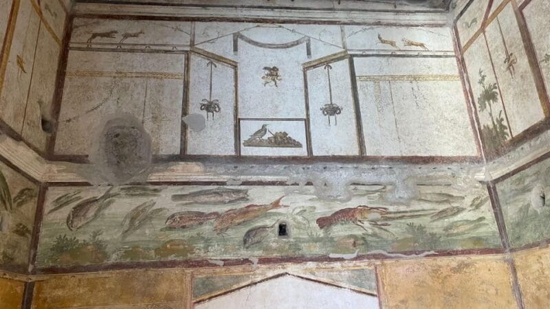 From Positano: Pompeii, Vesuvius, & Wine Tasting with Lunch - Entering Pompeii: History Made Tangible