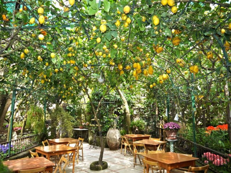 From Positano: Private Sorrento Sunset Tour - Price and Value