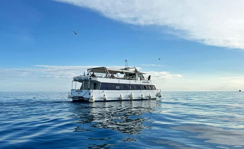 From Pula: Half-day NP Brijuni cruise with Lunch & Swimming - FAQ