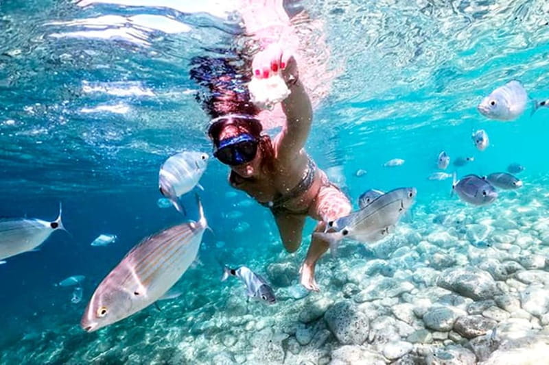 From Pula: Island Stop and National Park Day Cruise - Key Points / Takeaways