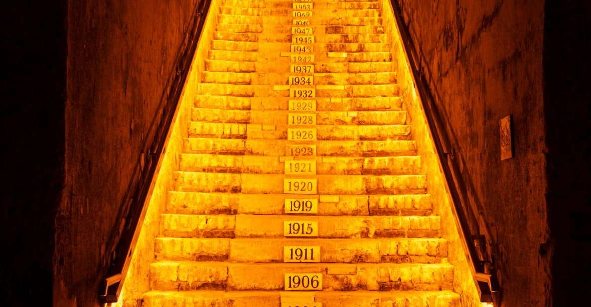 From Reims: Day Trip to Veuve Clicquot Family Grower & Lunch - Itinerary