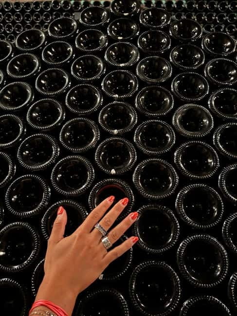 From Reims/Epernay : Food & Champagne Experience - A Guide to the Ultimate Champagne Day with Food