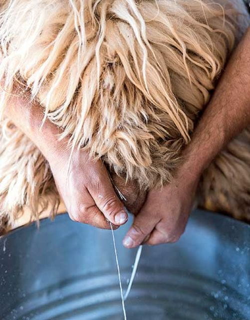 From Rethymno: Arkadi, Margarites, Melidoni Cave, and Axos - Why This Tour Stands Out