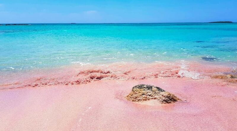 From Rethymno: Bus Trip to Elafonisi Beach - Price and Value