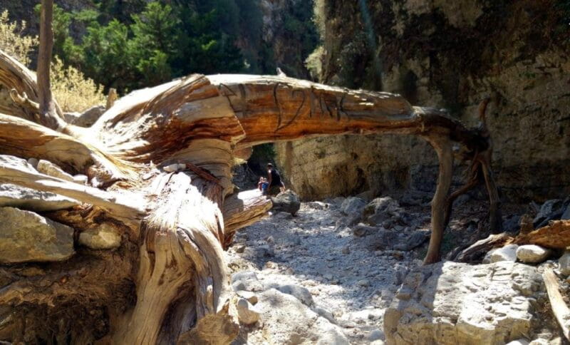 From Rethymno/Chania: Imbros Gorge Hike - Logistics, Value, and Who It’s For