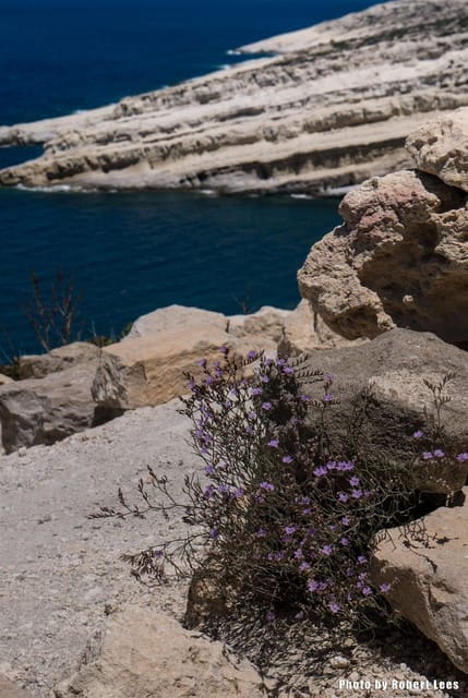 From Rethymno: Day trip to MATALA - AG.GALINI - SPILI - Key points / Takeaways