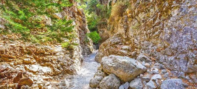 From Rethymno: Imbros Gorge & Libyan Guided Sea Tour - Exploring Cretes Second Longest Gorge