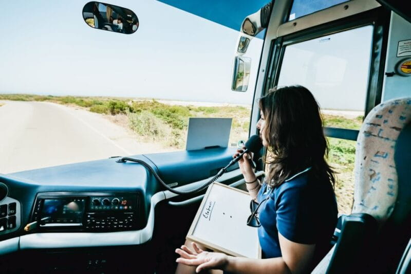 From Rethymno/Kavros: Elafonissi Pink Sand Beach Tour - Key points / Takeaways