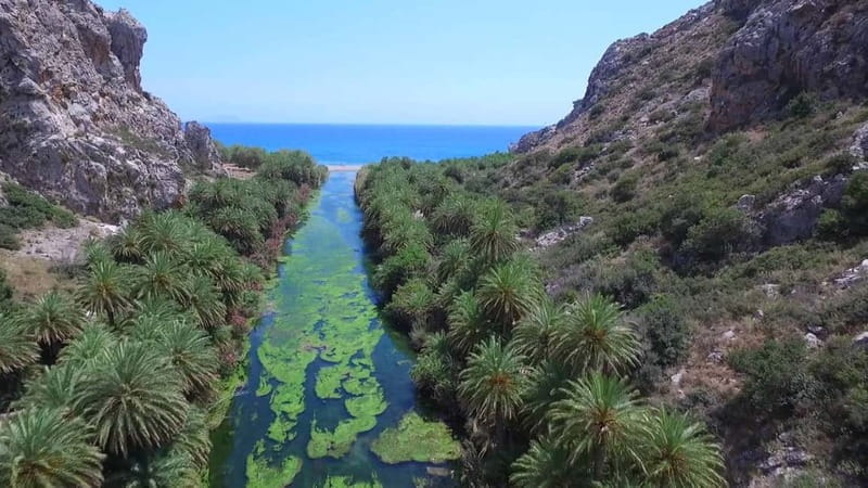From Rethymno: Preveli Palm Forest, Damnoni and Plakias Tour - Exploring Crete’s Southern Coast: A Detailed Look at the Preveli Palm Forest, Damnoni, and Plakias Tour