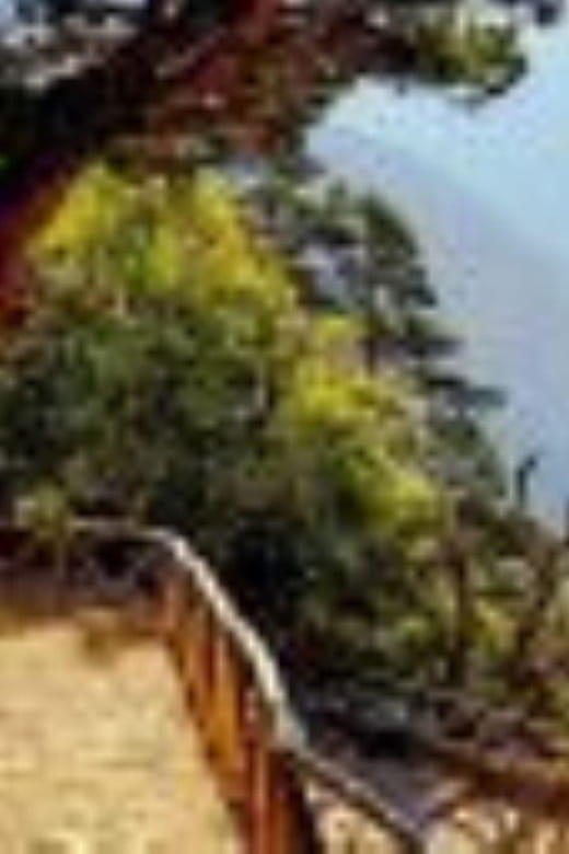 From Rethymno: Samaria gorge with Professional Hiking Guide - Who This Tour Is Best For