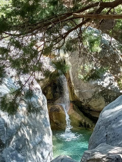 From Rethymno: Samaria gorge with Professional Hiking Guide - The Sum Up: Who Should Book This Trip?