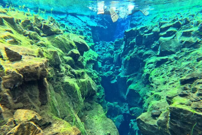 From Reykjavík: Golden Circle Tour and Silfra Snorkeling - Practical Tips for Your Trip