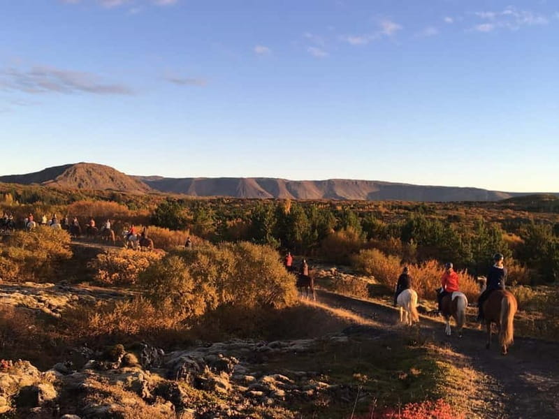 From Reykjavík: Icelandic Horse Riding Tour in Lava Fields - Price and Value Considerations