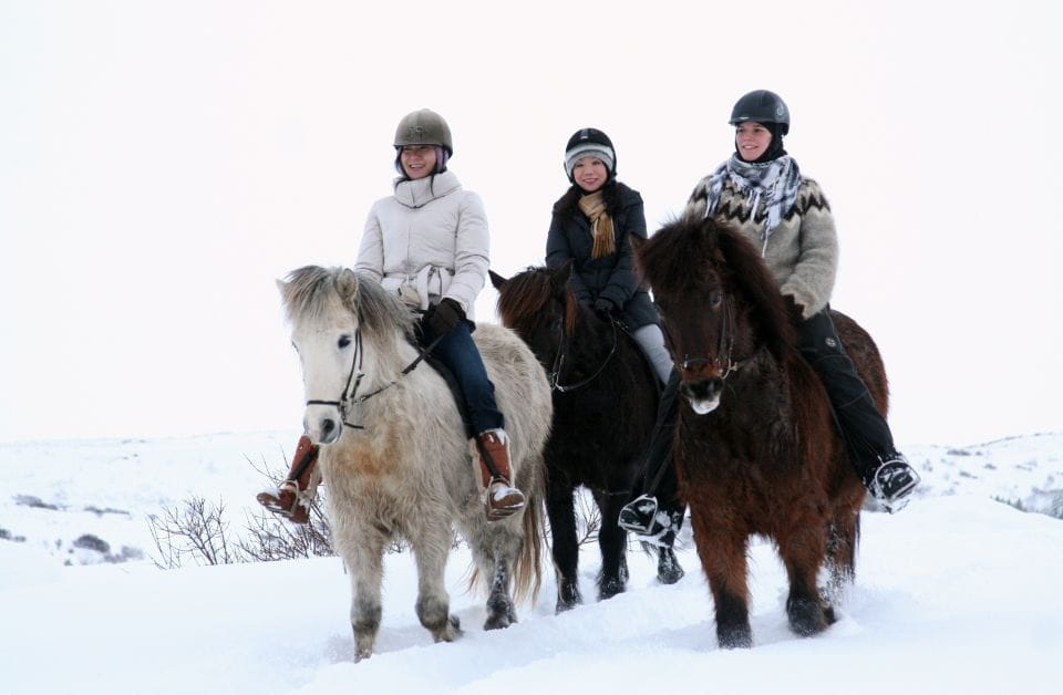 From Reykjavik: Icelandic Horse Riding Tour in Lava Fields - Facilities at Íshestars Stables