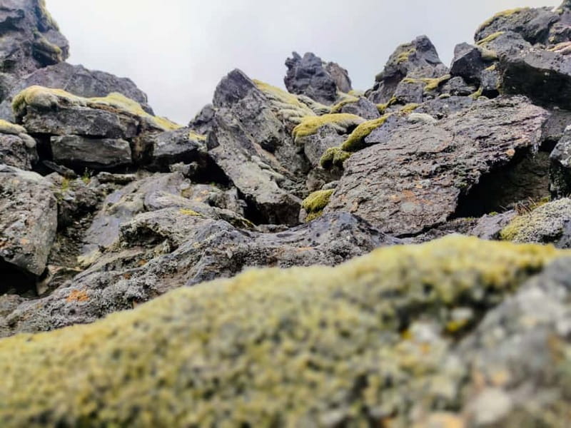 From Reykjavik: Landmannalaugar Private Tour with Transfer - Price and Logistics