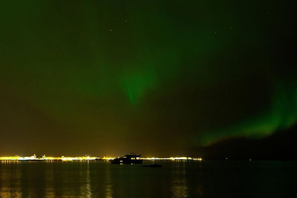 From Reykjavik: New Years Fireworks by Boat - Amenities and Services Onboard