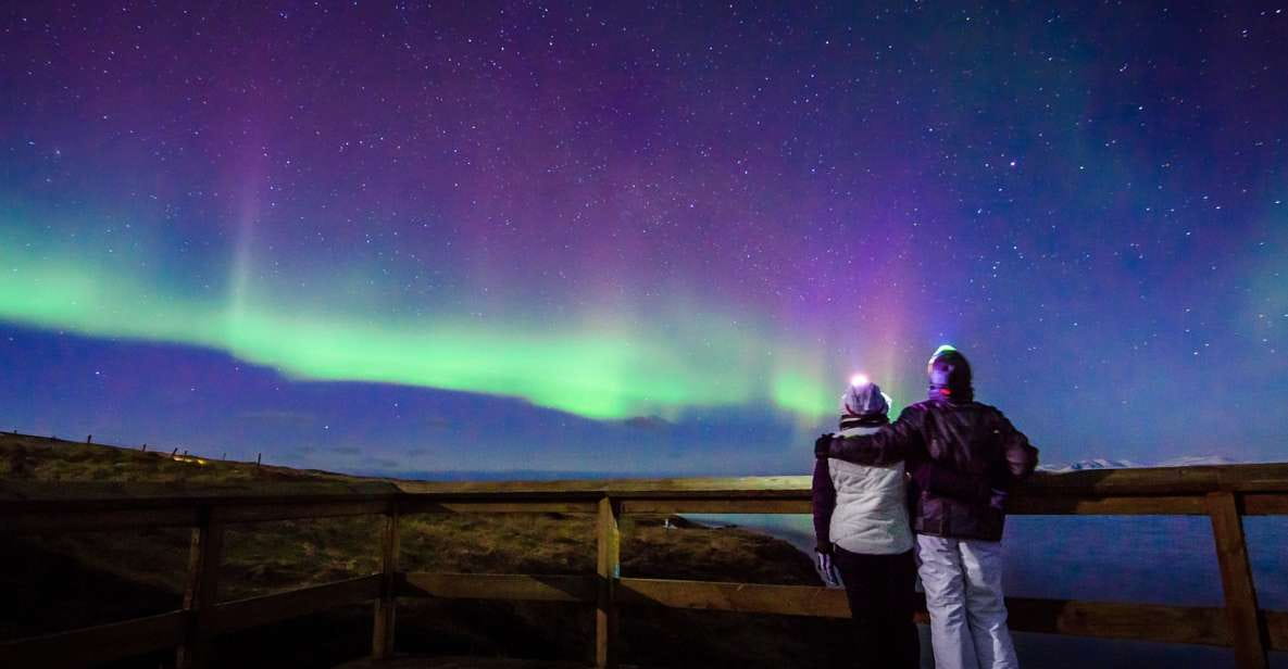 From Reykjavik: Northern Lights Minibus Tour - Inclusions
