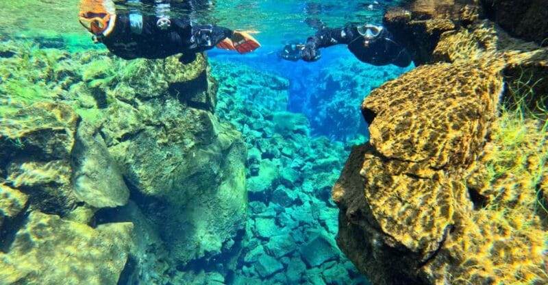 From Reykjavík: Silfra Snorkeling with free photos - Who Will Love This Tour?