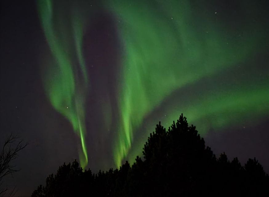From Reykjavik: Spot the Northern Lights With Snacks & Drink - Remote Locations for Northern Lights