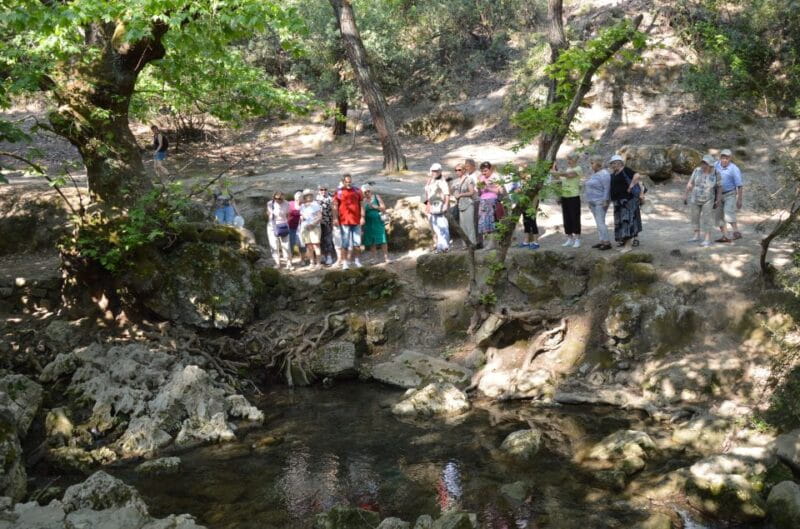 From Rhodes: Bus Tour to Lindos and the Seven Springs - Entering Rhodes’ Natural and Historic Gems