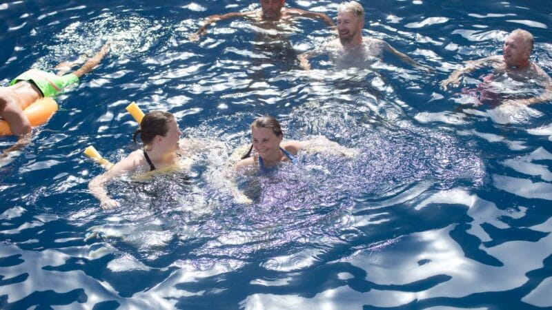 From Rhodes: Cruise to Symi Island and Saint George's Bay - Price and Logistics: Good Value with Some Considerations