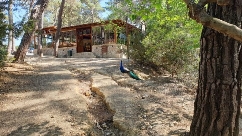 From Rhodes: Lindos and 7 Springs Valley Bus Tour - Introduction to the Lindos and 7 Springs Valley Bus Tour