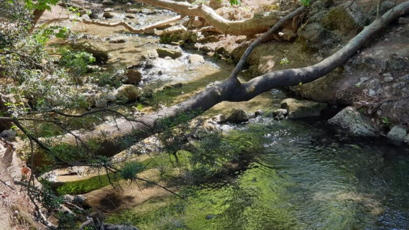 From Rhodes: Lindos and 7 Springs Valley Bus Tour - Who Will Love This Tour?