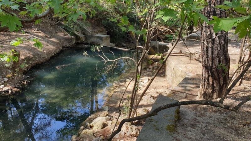 From Rhodes: Lindos and 7 Springs Valley Bus Tour - Price and Logistics: Is It Worth It?