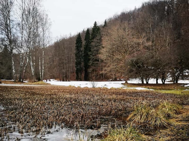 From Riga: Cesis and Sigulda Day Trip with Hotel Transfers - FAQ