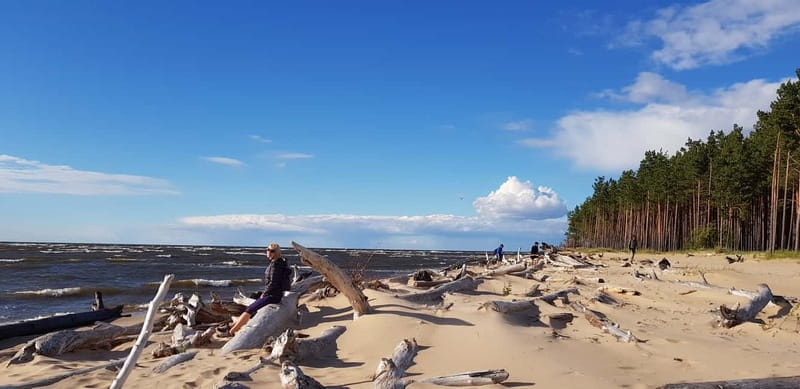 From Riga: Four Natural Ecosystems In One Hike - Exploring Latvia’s Natural Wonders: What to Expect