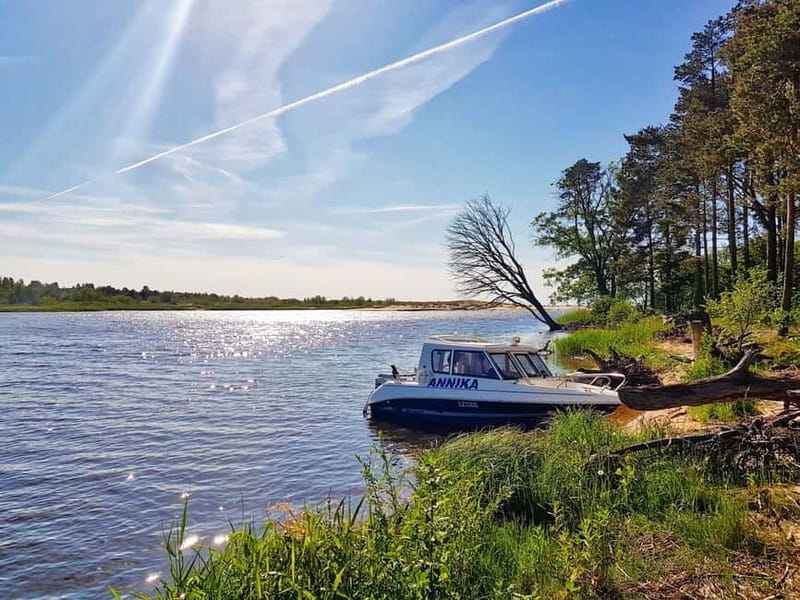 From Riga: Four Natural Ecosystems In One Hike - How the Day Unfolds: Itinerary Breakdown