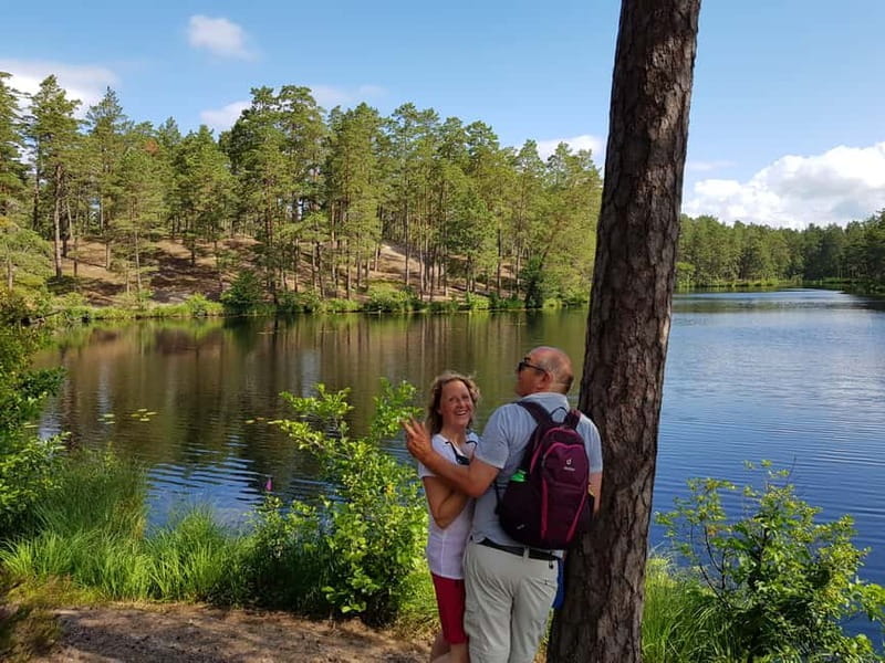 From Riga: Four Natural Ecosystems In One Hike - Who This Tour Is Best For