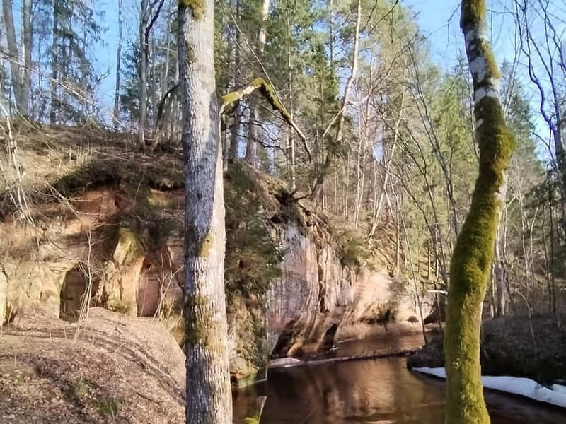 From Riga: Ligatne Village and Gauja River National Park - Scenic Highlights and Practical Tips