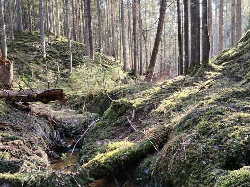 From Riga: Ligatne Village and Gauja River National Park - Who Would Love This Tour?