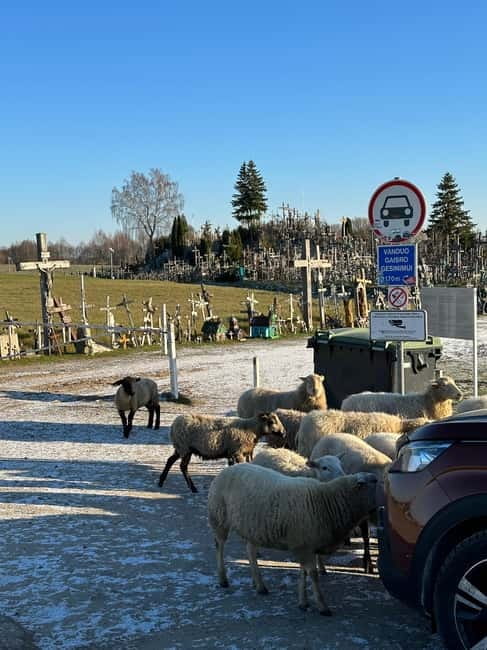 From Riga: Trip to Hill of Crosses, Rundale Palace & Bauska - Final Thoughts