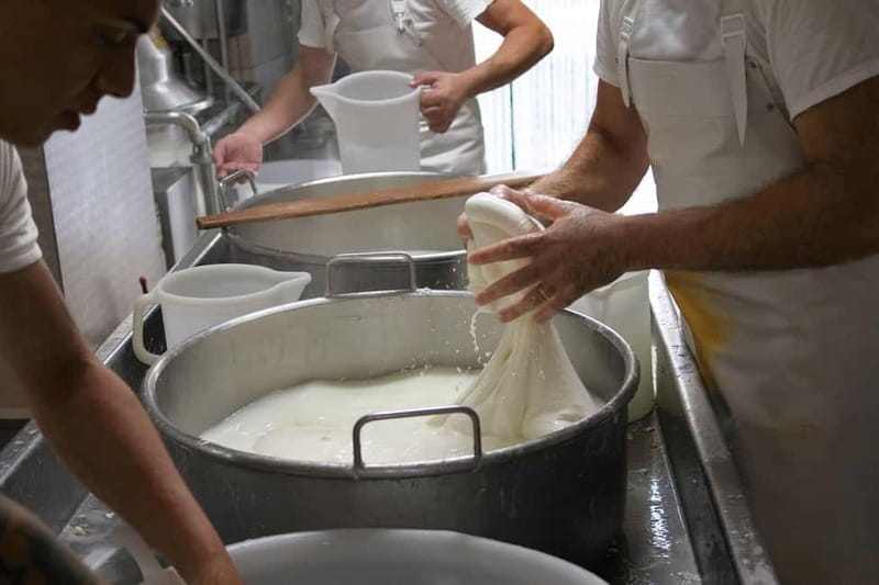 From Rome: Artisanal Cheese Workshop and Fine Dining - Savoring Lazio: A Gourmet River Fish Lunch