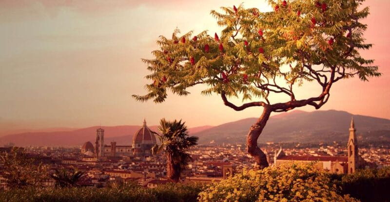 From Rome: Day Trip to Florence by High-Speed Train - Key points / Takeaways