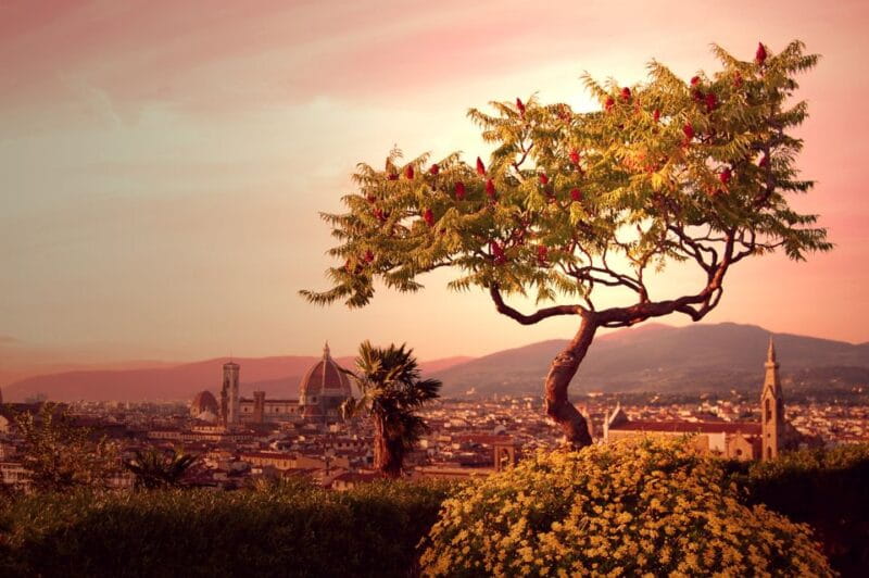 From Rome: Day Trip to Florence by High-Speed Train - Who This Experience Suits Best