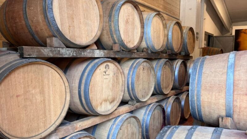 From Rome: Florence & Tuscany Day Tour by High-Speed Train - Key Points / Takeaways