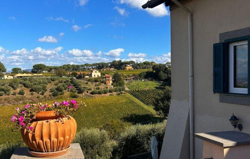 From Rome: Half-Day Frascati Wine Tour with Farmhouse Lunch - Value and Pricing: Is It Worth It?
