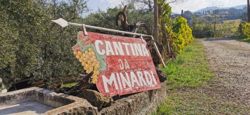 From Rome: Half-Day Frascati Wine Tour with Farmhouse Lunch - FAQ