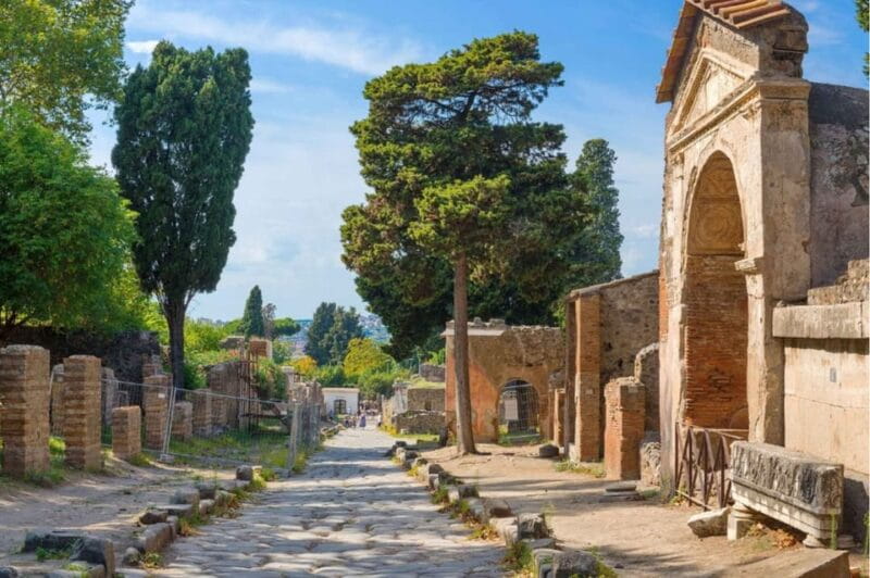 From Rome: Pompeii and Mount Vesuvius Day Trip - Logistics, Comfort, and Cost: What to Expect